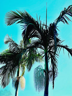 ©IMPLICIT IMAGERY