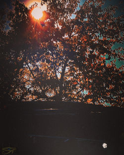 ©IMPLICIT IMAGERY