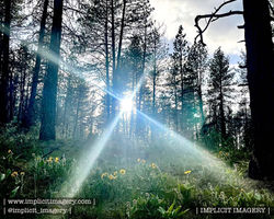 ©IMPLICIT IMAGERY
