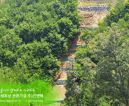 [식생토낭] 현종산 풍력발전소 6공구