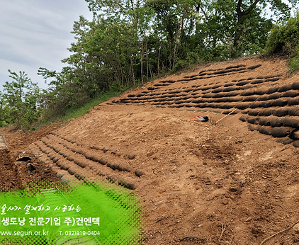 [식생토낭] 전주농수산대학 1공구