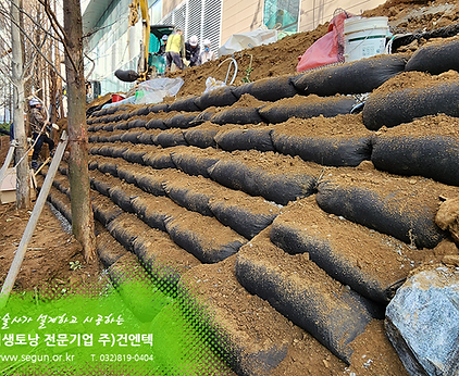 [식생토낭]판교 제2테크노밸리 사면 보강