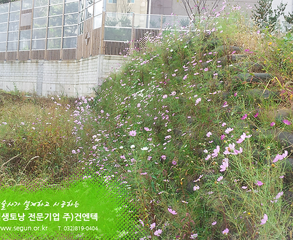 [식생토낭] 인천어린이공원