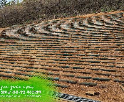 식생토낭 인천 영종 운서동