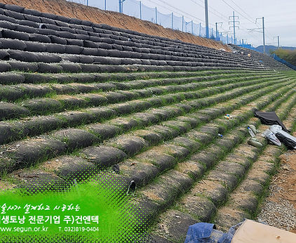 [식생토낭] 경강선 부발이천역 20공구