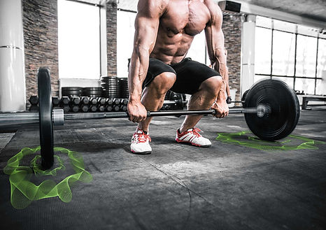sportec gymcoustic series