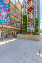 ALP_0021-Edit.jpg