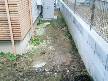水はけが悪くてコケが生える庭