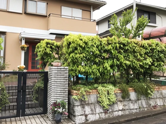生垣をフェンスにする外構工事 奈良市y様邸