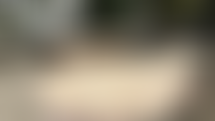 草引きで腰を痛めないお庭【奈良県生駒市　Ｋ様邸】