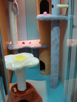 Hotel para Gatos