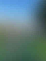 farmer grow vegetables in Puli, Taiwan