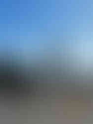 people pray at BaoHu Temple Dimu in Nantou Puli, Taiwan