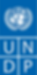 UNDP_logo.svg.png