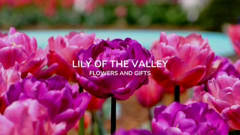 Lily of the Valley – Brand & Operations Consulting