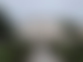 Wedding in front of Mansion