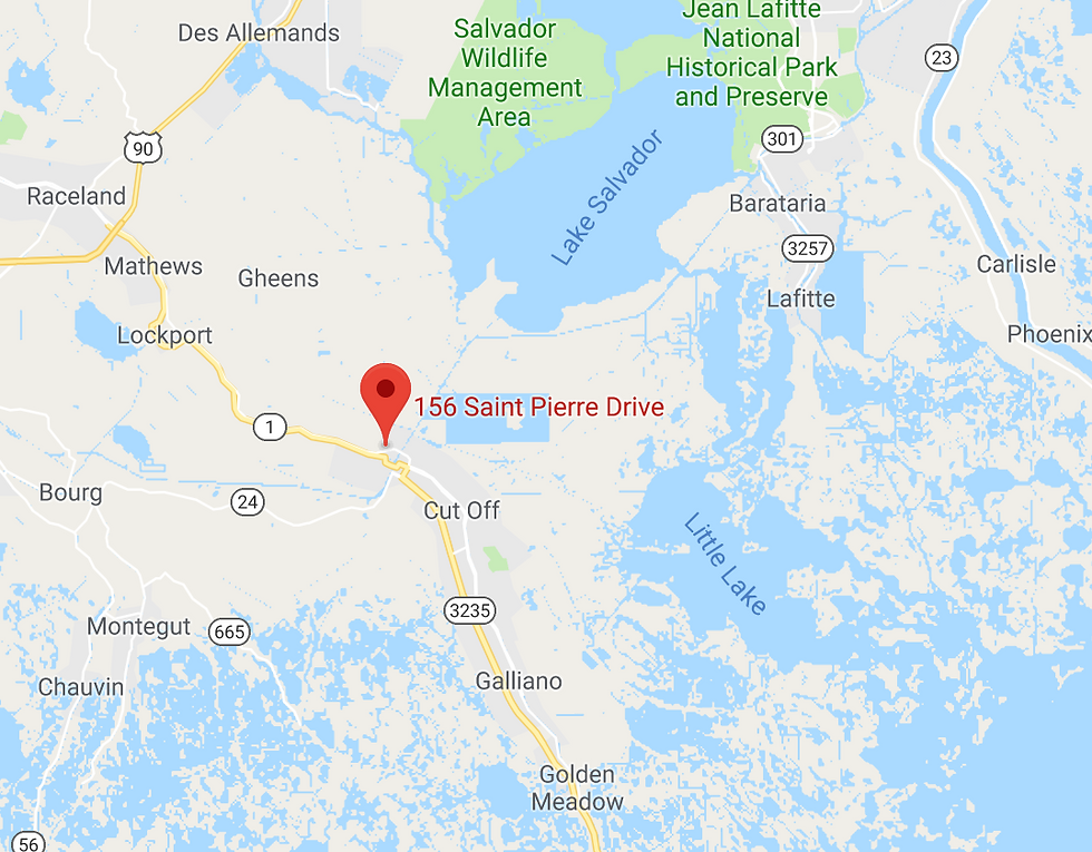 156 SAINT PIERRE DRIVE