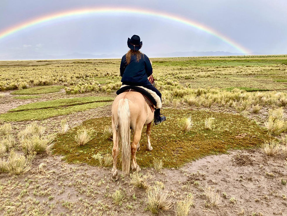 Gruppen-Jahresausbildung in ein höheres Bewusstsein