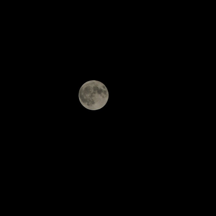 Hexenkreistage bei Vollmond 1 - AUSGEBUCHT. FRAGE FÜR NEUE TERMINE AN.