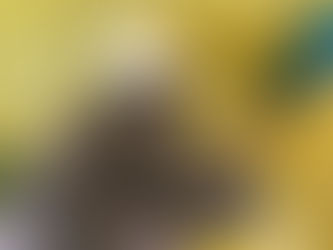 Installation Guide for Household Central Air Conditioning