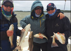 SAINT GEORGE ISLAND CHARTERS