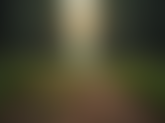 Reshape Your Life with Transformational Coaching: Life Transformation Guidance That Works