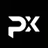punkx-012126.webp
