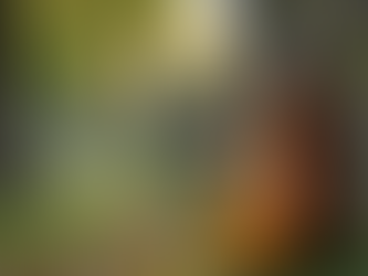 Finding Guitar Lessons in Wonder Lake