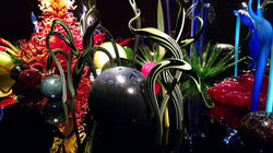 IMG_20170921_134933867