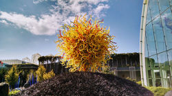 IMG_20170921_140709685_HDR