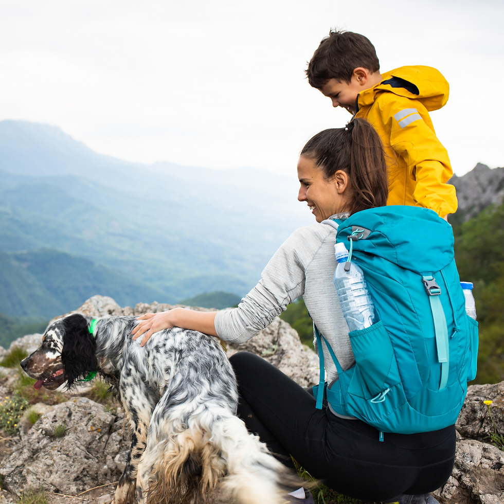 How to Build a Strong Relationship with Your Pet