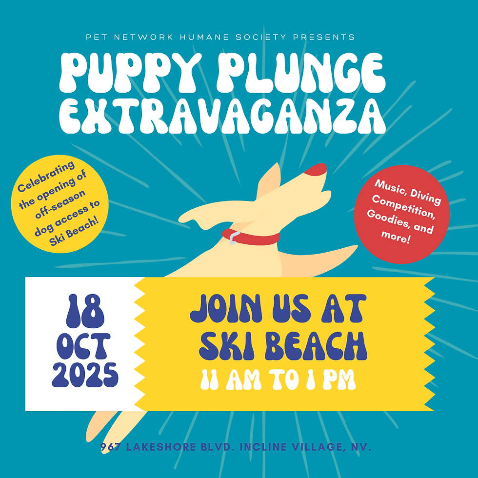 Puppy Plunge 