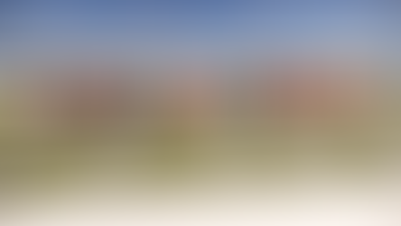 Performance Should Matter in St. Louis — Not Politics