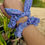 Thumbnail: Individually Sold - Hair Scrunchies - Pastel Collection - Basics & Bows