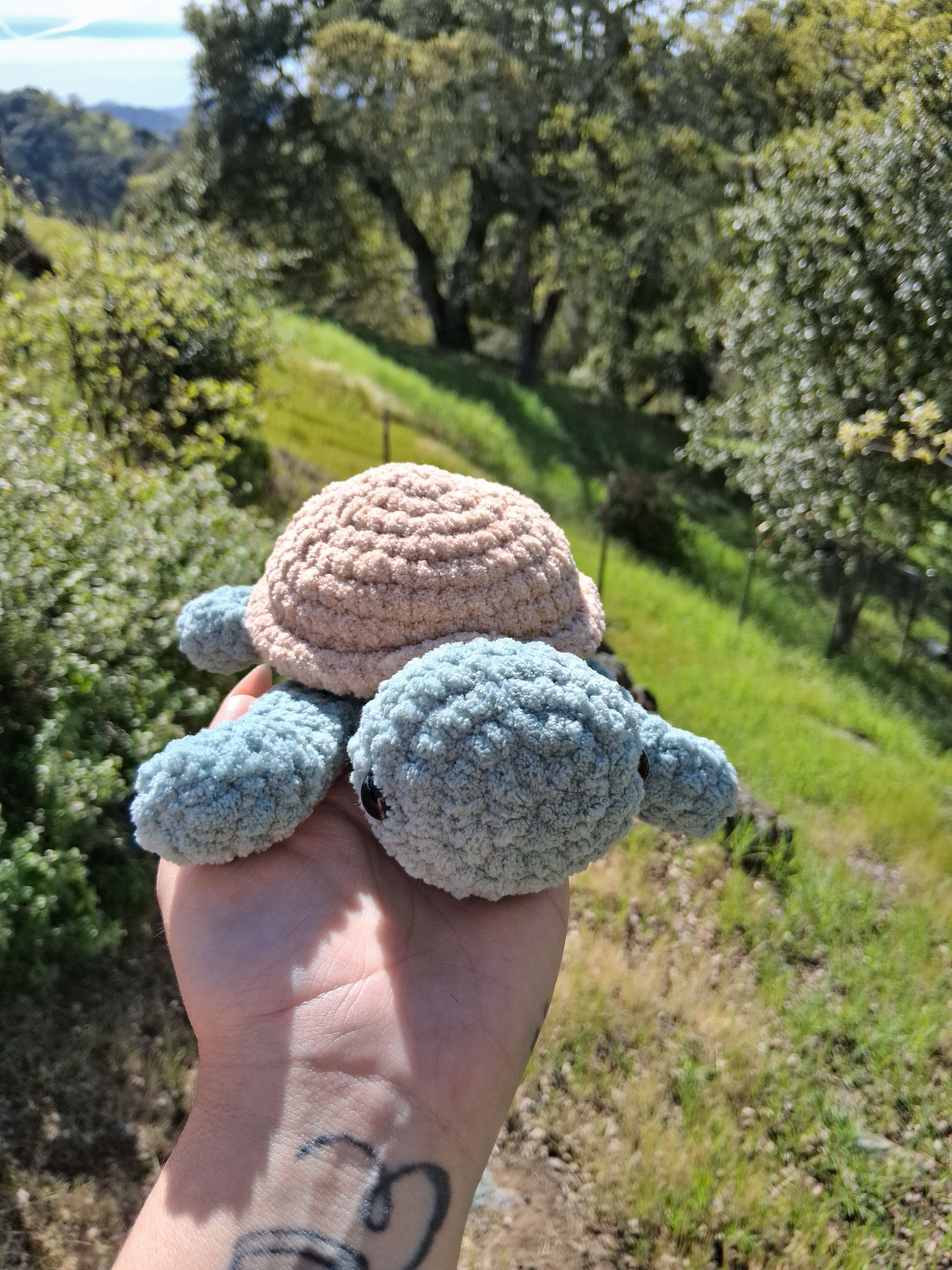 Sea Turtle Plushie - Multiple Color Options Available - Amigurumi