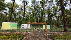 IMG-20230813-WA0024.jpg