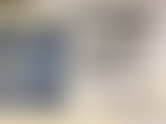 Lucie Porges with Pauline Trigere Home Collection