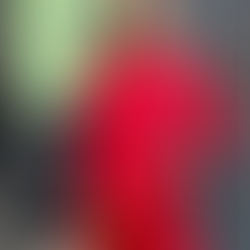 Trigere + "My Birkin is on Order" Bag