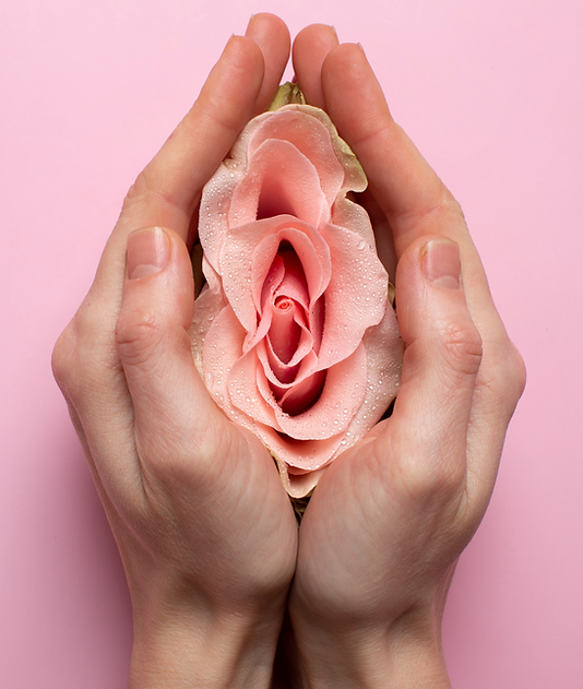 _Renta Castro Bio Medica (2).png