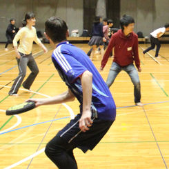 Dodgebee Photos 002.jpg