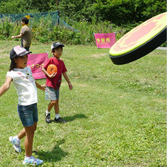 Dodgebee Photos 005.jpg