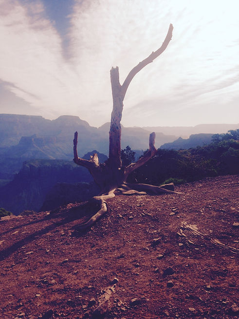 Grand Canyon National Park