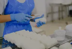 Protectedmode EPI Indústria Alimentar, Equipamento de Proteção Individual, EPI, Segurança no Trabalho, Protectedmode, Portugal, Loja Online, avental, coletes, luvas, calças, toucas, botas, tampões, jalecas