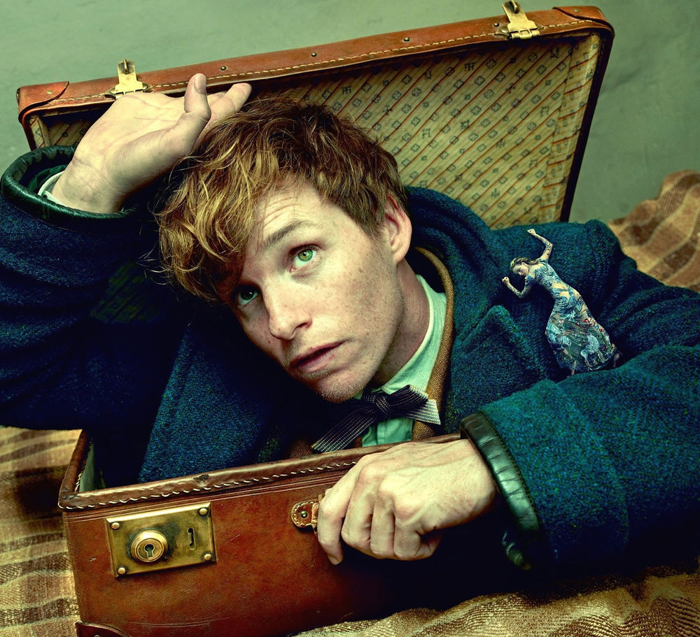 How are fairies born? How can they live in such tiny houses?