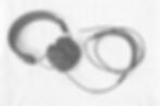 brown-headphone-white-background PB.jpg