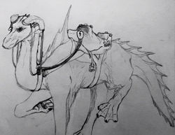 concept design - Mount