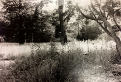 Quiet Places Series' 1 