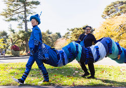 “Blue Caterpillar”