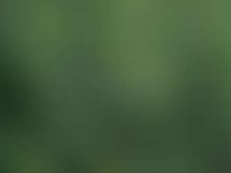 How to Do a Purpose-Driven Job Search: A Guide to Finding Meaningful Work