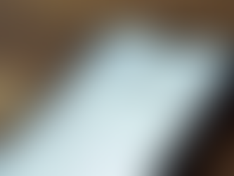 Priorisiere Google Unternehmensprofil: Das ist dein Fundament für Local SEO